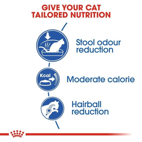 ROYAL CANIN® Indoor 27 Adult Dry Cat Food Supply