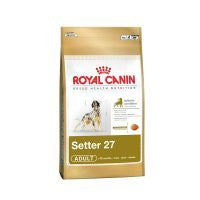 Royal Canin Setter Adulto Hot on Sale