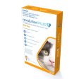 Revolution Plus Medium Cats 2.6-5kg Sale