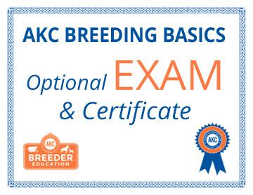 AKC Breeding Basics - Exam Online Sale