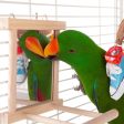 Kazoo Mirror with Wooden Perch Bird Toy Medium For Discount