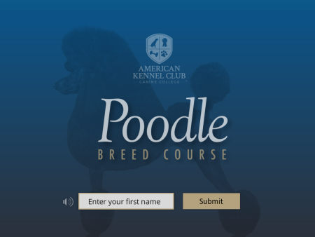 Poodle Breed Course Fashion