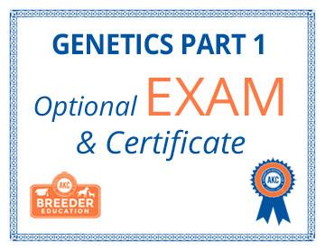 ABCs of Dog Breeding, Genetics Part 1 - Exam Cheap