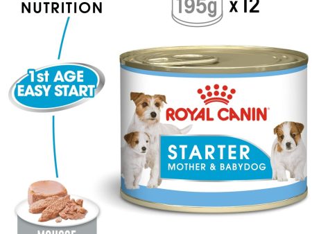 ROYAL CANIN Starter Mousse Mother & Puppy Wet Dog Food 12X195g Tins For Discount