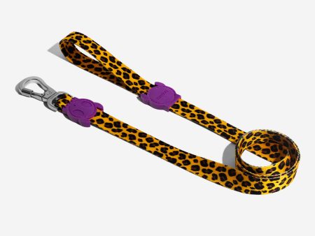 Zee Dog Honey Dog Lead For Sale