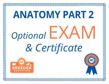 ABCs of Dog Breeding Anatomy Part 2 - Exam Sale