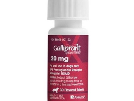 RX Galliprant (grapiprant tablets) Flavored Tablets for Dogs, 30 Count For Cheap