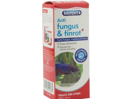 Anti Fungus & Finrot Plus - 100ml For Sale