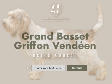 Grand Basset Griffon Vendeen Breed Course Online Sale