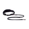 Rogz AirTech Sports Belt & Lead Set Nightsky Black Supply