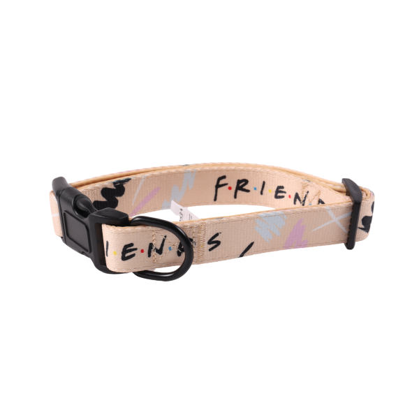 Friends Dog Collar For Discount