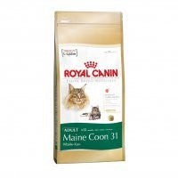 Royal Canin Maine Coon Adulto Hot on Sale