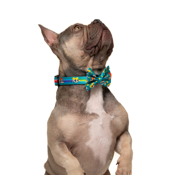 Petverse Powerpuff Girls Pet Bowtie Discount