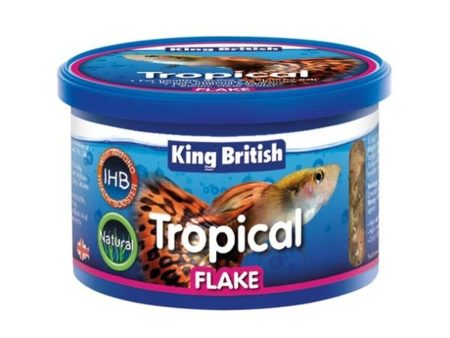 King British Tropical Fish Flake Food Fashion