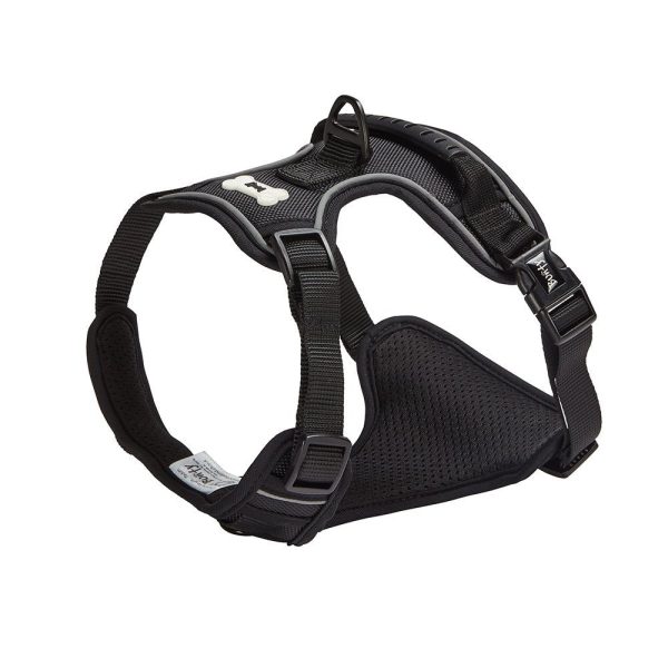 Bunty Adventure Dog Harness on Sale