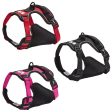 Bunty Adventure Dog Harness on Sale