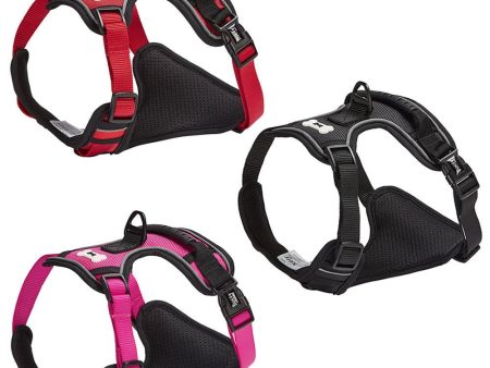 Bunty Adventure Dog Harness on Sale