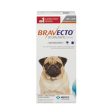 RX Bravecto Chews for Dogs Online now