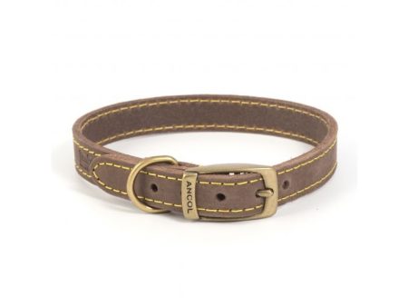 Timberwolf Leather Dog Collar Sable Colour Discount