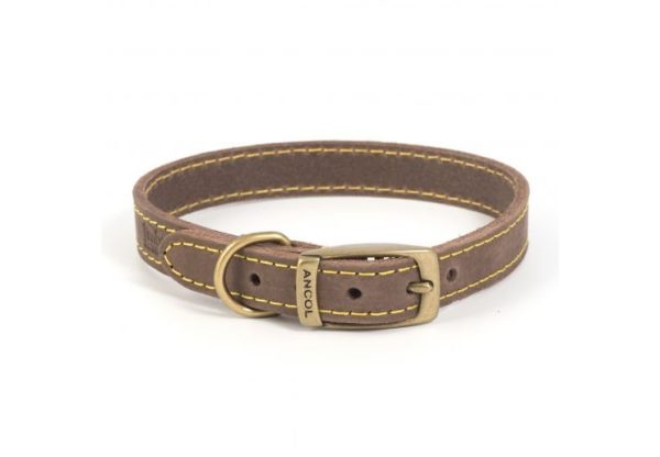 Timberwolf Leather Dog Collar Sable Colour Discount