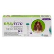 RX Bravecto Topical for Dogs Online Sale