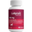 Rx Galliprant Flavored Tablets for Dogs, 1 Count Online