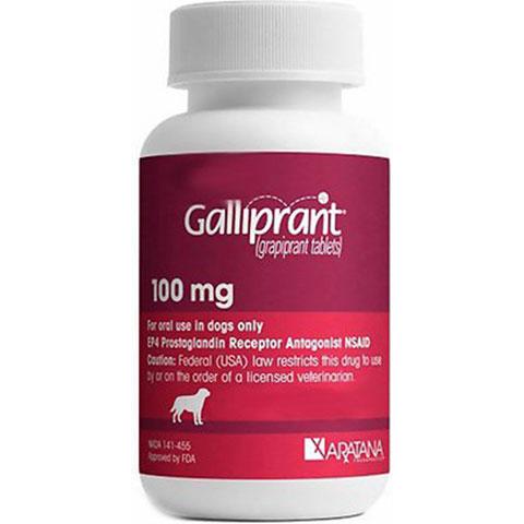 Rx Galliprant Flavored Tablets for Dogs, 1 Count Online