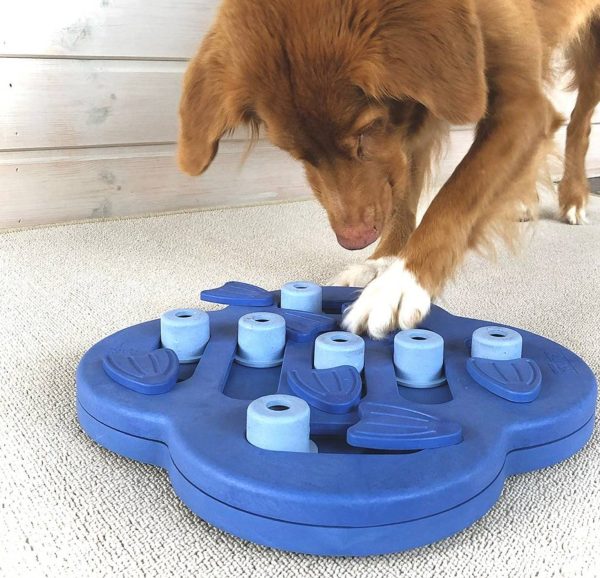 Nina Ottosson Hide and Slide Puzzle For Dogs Supply