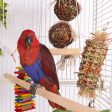 Kazoo Hanging Foraging Crinkle Vine Bird Toy Small Online Hot Sale