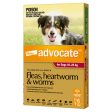 Advocate For Dogs 10-25kg For Sale