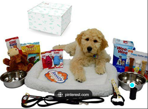 Puppy Bundle Pack Hot on Sale