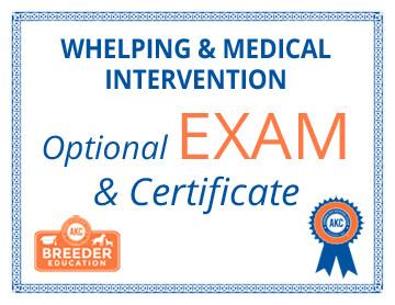 Whelping  Medical Intervention  Exam on Sale