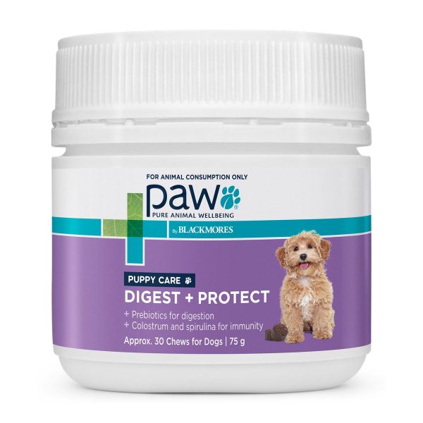 PAW By Blackmores Puppy Supplement Digest & Protect Care 75g For Sale