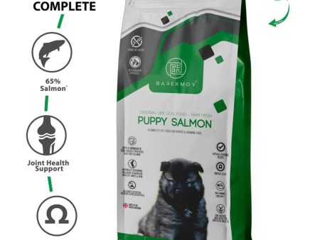 Barekmor: Puppy Salmon Recipe With 65% Salmon And 35% Fruits & Veg - Grain Free For Sale