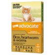 Advocate For Kittens and Small Cats Up To 4kg Online Sale