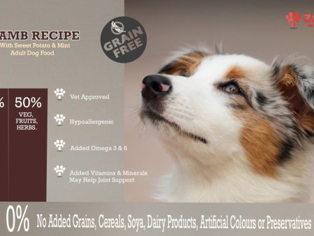 Grain Free 50% Lamb Recipe with 50% Sweet Potato & MInt Adult Dry Dog Food For Discount