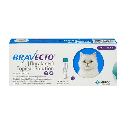 RX Bravecto Topical for Cats Online