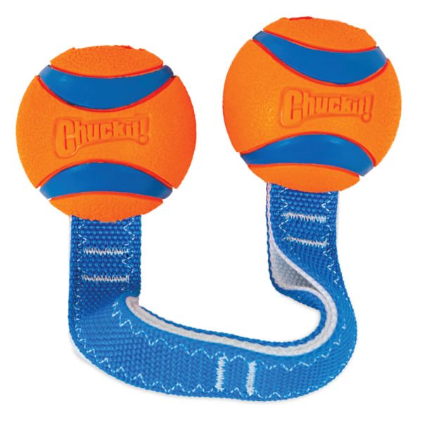 Chuckit! Ultra Duo Tug Medium Dog Toy For Discount