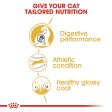 ROYAL CANIN® Bengal Adult Dry Cat Food Sale