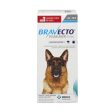 RX Bravecto Chews for Dogs Online now