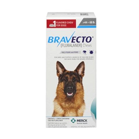 RX Bravecto Chews for Dogs Online now