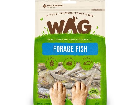 WAG Dog Treat Forage Fish 200g Supply