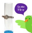 Kazoo Auto Bird Feeder For Cheap