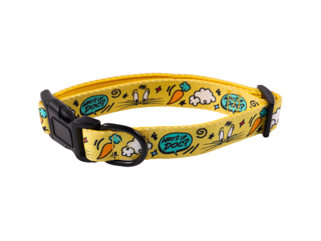 Petverse Looney Tunes Dog Collar Sale