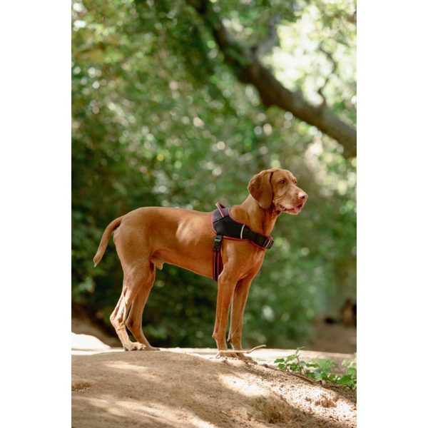 Rogz AirTech Sports Dog Harness Rock Red For Discount