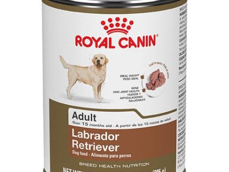 Royal Canin Breed Health Nutrition Labrador Retriever Adult Canned Dog Food, 13.5 oz Discount