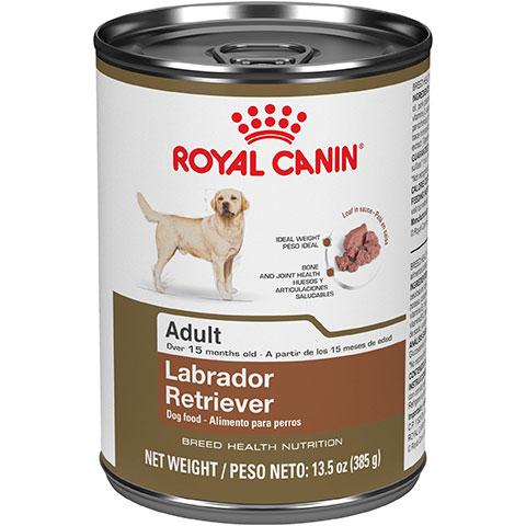 Royal Canin Breed Health Nutrition Labrador Retriever Adult Canned Dog Food, 13.5 oz Discount