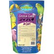 Vetafarm Avian Critta Care 450g Cheap