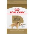 Royal Canin Breed Health Nutrition Golden Retriever Adult Dry Dog Food For Sale