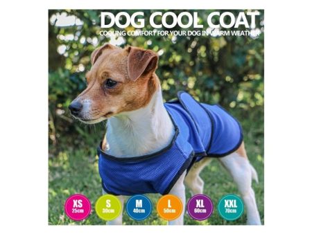 Ancol: Cooling Coat for Dogs Online Hot Sale